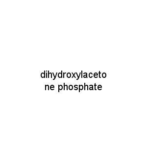 dihydroxylacetone phosphate